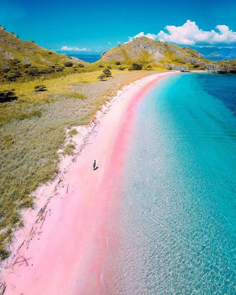 Pink Beach Lombok