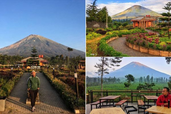 Kledung Park Sindoro Coffe House, Suguhkan Hidangan Lezat dan Pemandangan Alam Memikat kledung park