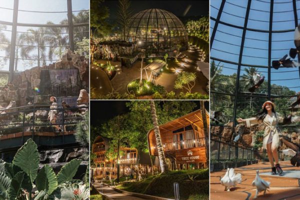 Hanya 2 Jam Dari Jakarta-Taman Rekreasi Keluarga Sekaligus Resort dengan Konsep Rimba yang Keren Banget | Sparks Forest Adventure Sukabumi Sparks Forest Adventure