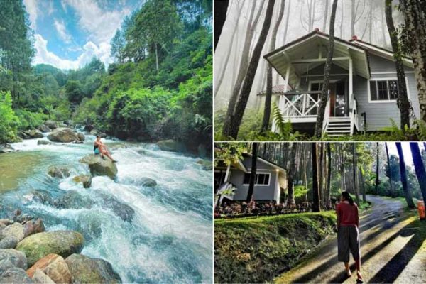 The Pine Forest Villas