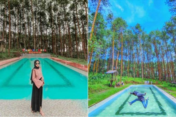 Taman Ceria Warangan, Objek Wisata yang Memberikan 2 Kesegaran Sekaligus – Kolam Renang di Hutan Pinus! Taman Ceria Warangan