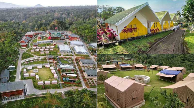 Kebun Pak Budi, Tempat Wisata Edukasi Bertani dan