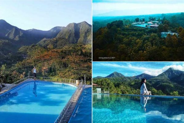 soko langit wonogiri