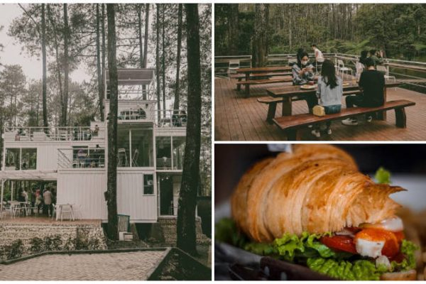Warung Kopi Gunung, Tempat Nongkrong Asik di Tengah Hutan Pinus Lembang, Bandung! Tempatnya Adem dan Instagramable! Warung Kopi Gunung