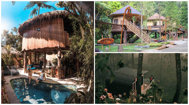 Akomodasi Rumah Pohon Indonesia