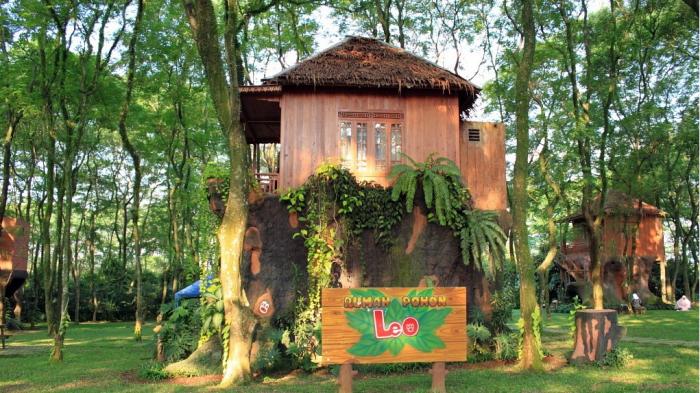 Akomodasi Rumah Pohon Indonesia