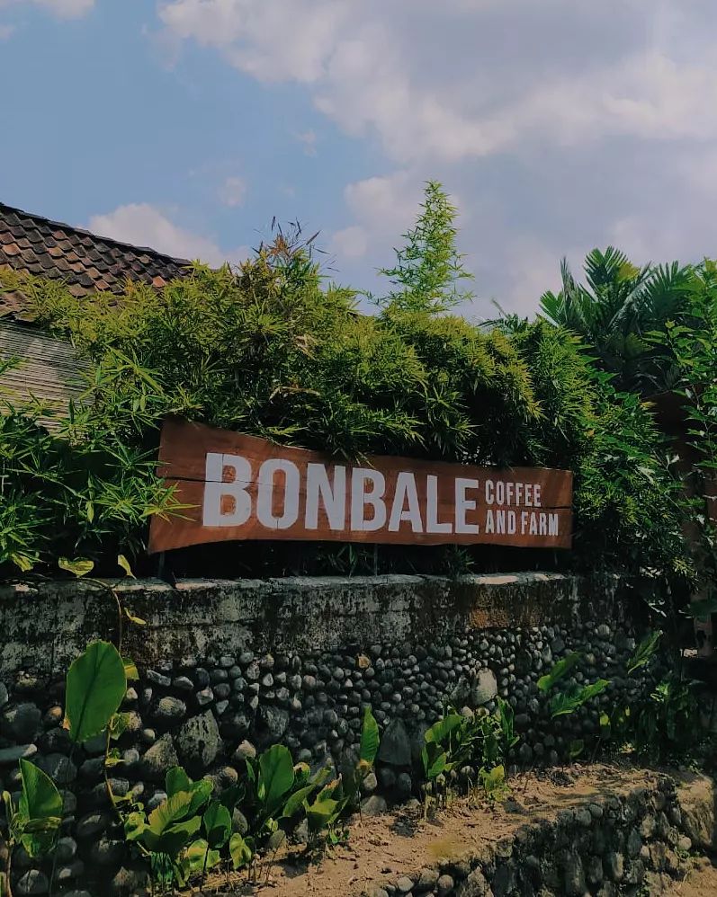 Bonbale Coffee and Farm