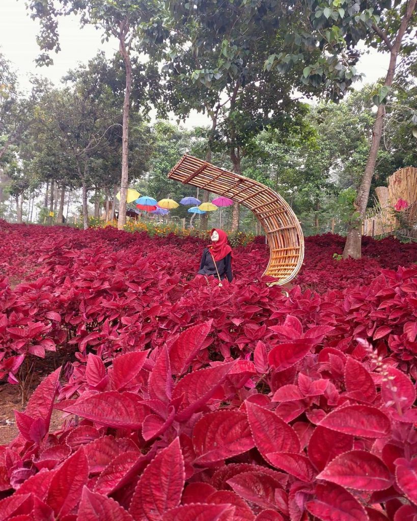 Wisata Negeri Bambu