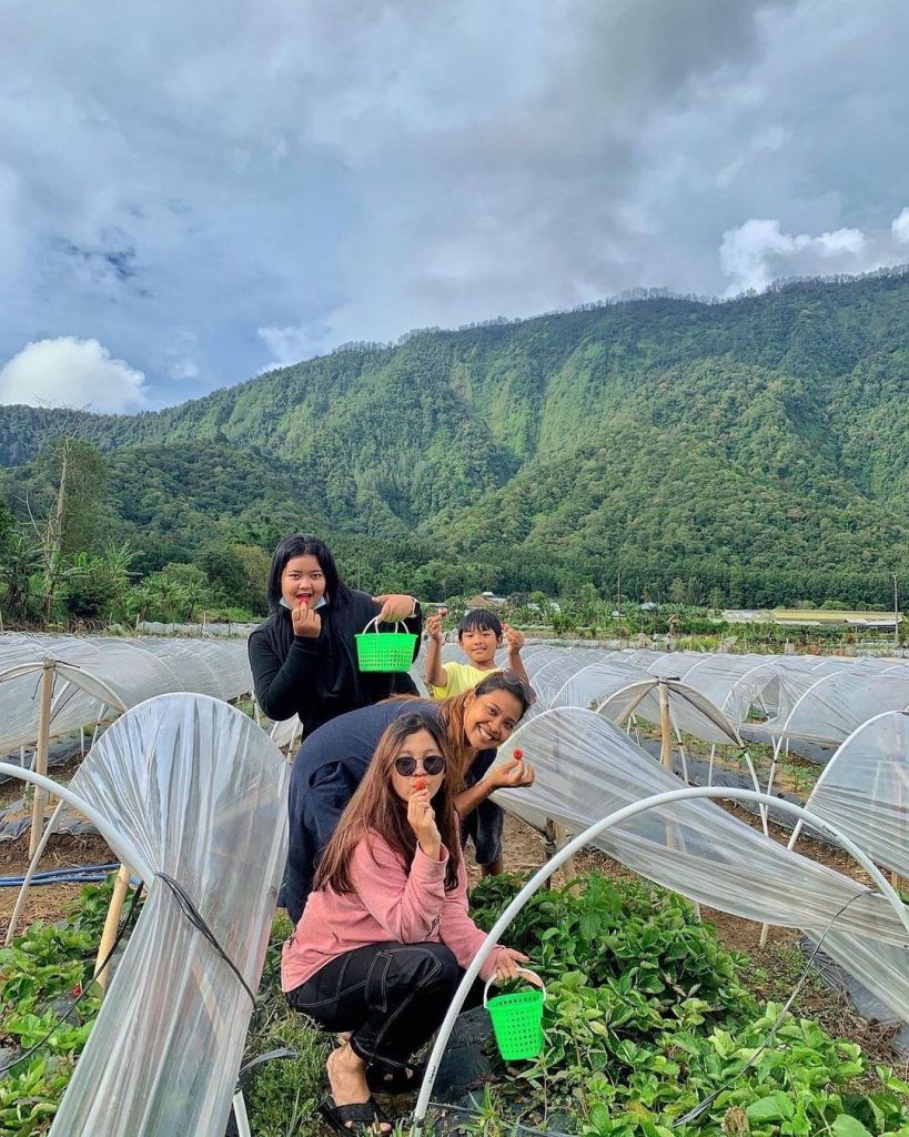 Taman Danu Camp